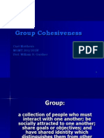 Group Cohesiveness: Curt Matthews MGMT 301/301W Prof. William S. Gardner