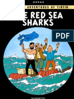 19 - The Red Sea Sharks