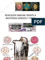 Inmunidad  bacterias extracelulares.pptx
