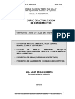 Eia c[1]. Hidroelectrica -Carretera-proy Riego-saneamiento