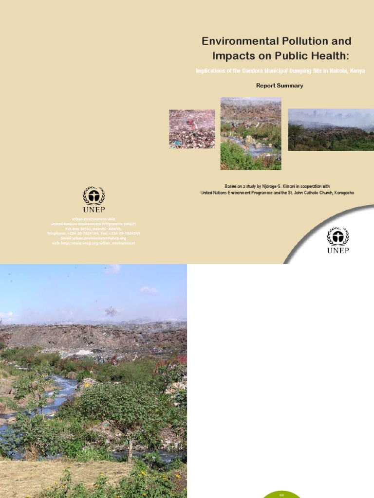 Environmental Pollution and Impacts On Public Health | PDF | Technology ...