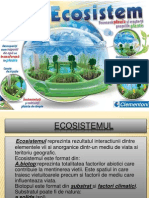 Ecosistem