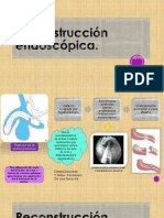 Trauma Urologia