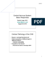 Central Nervous System: Basic Responses: Rachel Lange, M.D. August 28, 2013