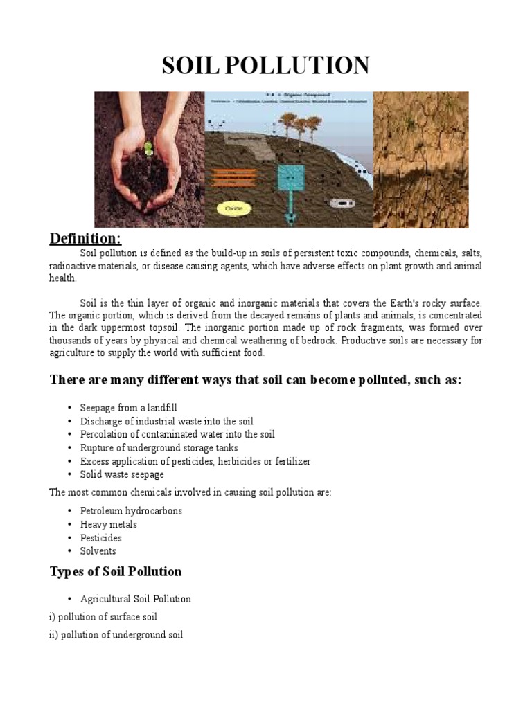 assignment on soil pollution pdf
