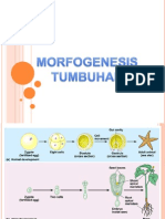 Morfogenesis Tumbuhan 2013