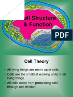 Cell Structure Function