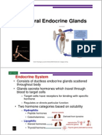 Human and Animal Physiology Chapter 18 The Central Endocrine Glands