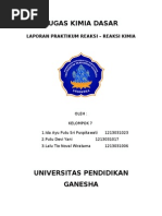 Download Laporan Praktikum reaksi reaksi kimia by Ayu Juniati SN191755358 doc pdf