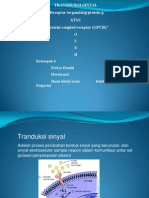 Protein G Farmakologi (Kel.4)