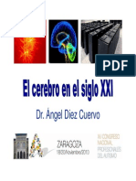 Cerebro Del Siglo XXI