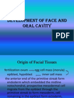 Development of Face and Oral Cavity