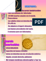 Versioncompl Parasitologia