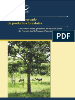 Estudio de Mercado de Producto Forestales