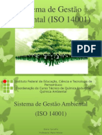 Sistema de Gestao Ambiental (ISO 14001)