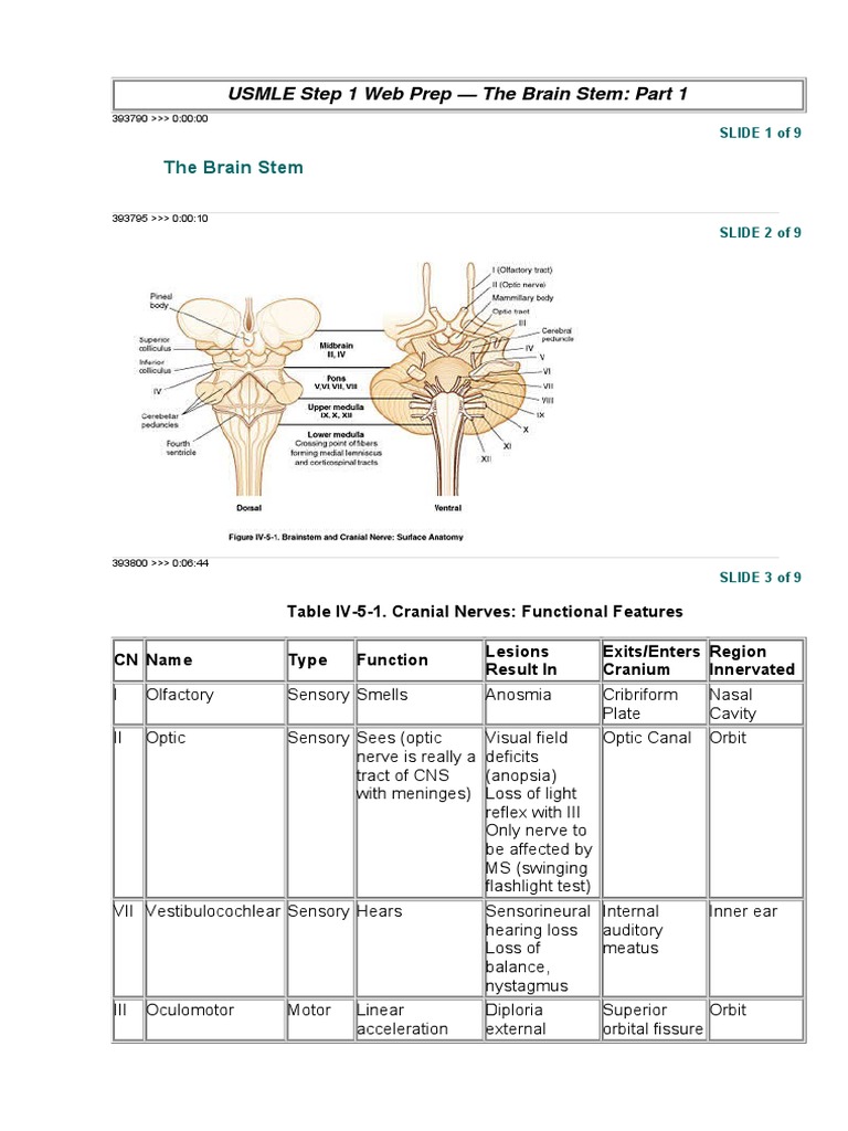USMLE Step 1 Web Prep - The Brain Stem: Part 1 | PDF | Anatomy | Neurology