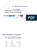 DNA Methylation - Where Does It Occur?
