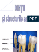 Digestiv II-dinţi (EMO 2009)