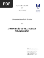 Plasmid Introduction Report Tri Parental Conjugation [PT]