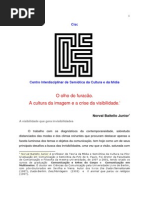 o Olho Do Furaco a Cultura Da Imagem e a Crise Da Visibilidade
