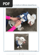 Download The Girls Guide to Southern California Animal Rescue by Kristen Kuhns SN191914152 doc pdf