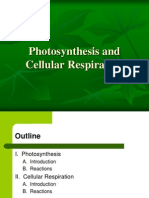 PhotosynthesisandCellularRespirationpost.ppt