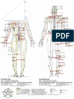 Body Meridians