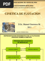 Cinetica de Flotacion