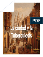 La Ciudad y La Tuberculosis - Lima Metropolitana