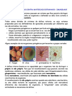 Defesa Do Organismo Contra Materiais Estranhos