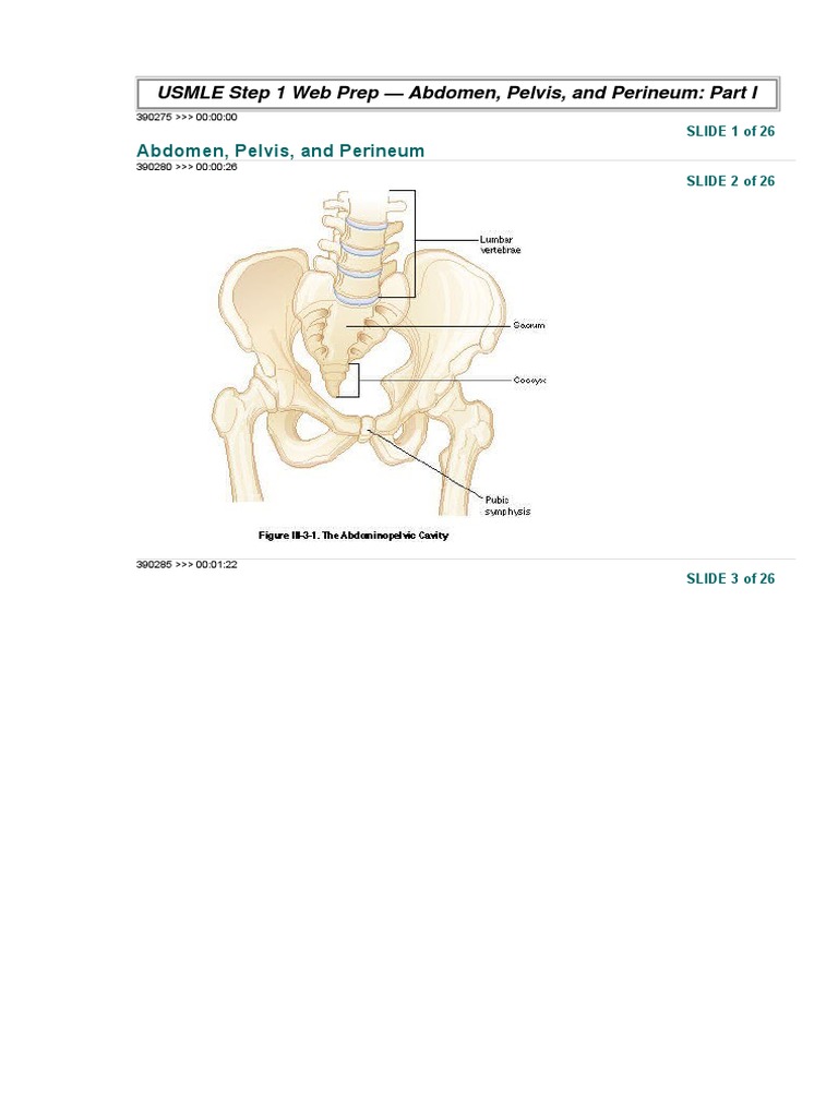 USMLE Step 1 Web Prep - Abdomen, Pelvis, and Perineum: Part I | PDF ...