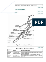 Section III Gross Anatomy and Organogenesis Lower Limb (Part 1)