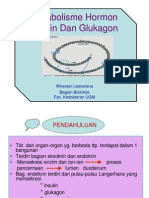 METOBOLISME INSULIN DAN GLUKAGON