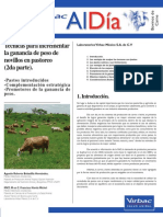 Técnicas para Incrementar La Ganancia de Peso de Novillos en Pastoreo (2da Parte)