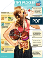 Digestive Process Infographic KIDS DISCOVER