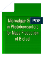 Algae to Energy_powerpoint