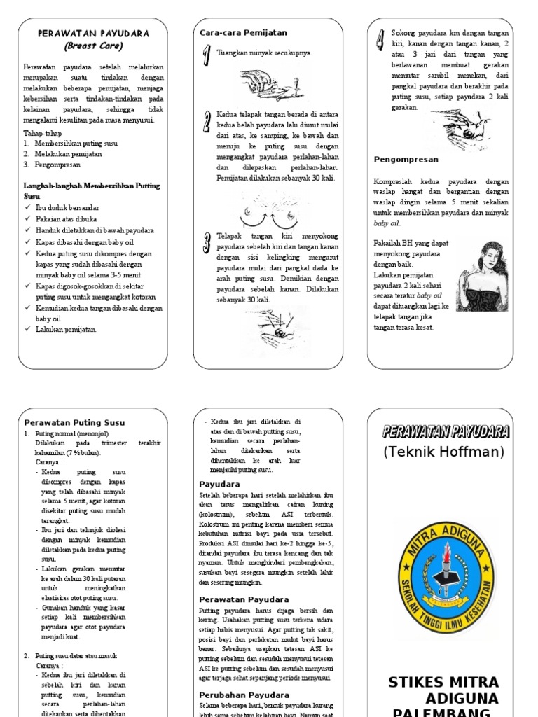 Leaflet Perawatan Payudara Pdf