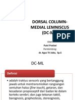 Traktus Dorsal Column-medial Lemniscus