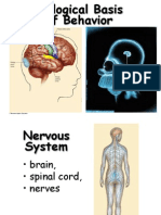 Biological Basis Lec