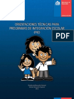 Orientaciones PIE2013