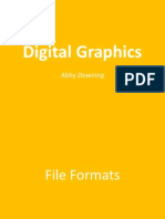 Digital Graphics Pro-Forma