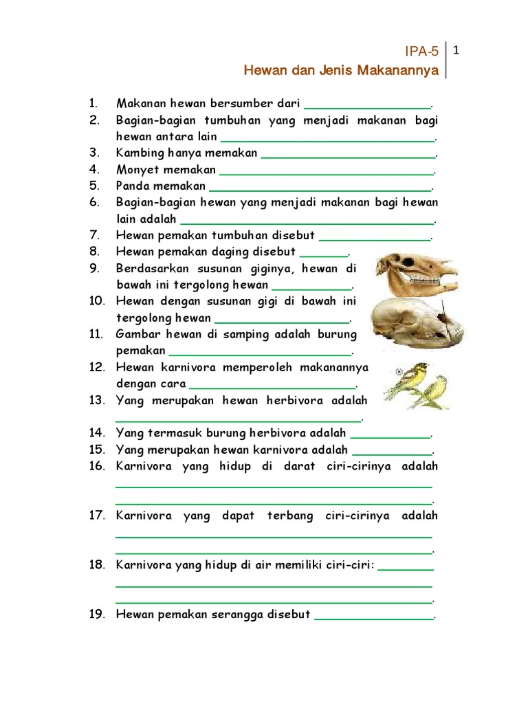 Ipa5 Jawaban