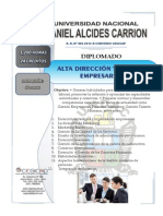 Diplomado de Alta Dirección y Gestión Empresarial - Universidad Nacional Daniel Alcides Carrión