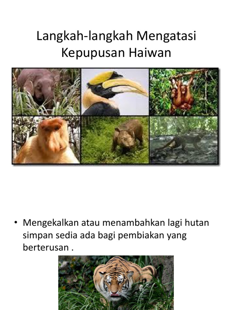 Langkah Langkah Mengatasi Kepupusan Haiwan Pdf