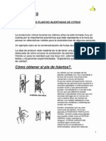 Microsoft Word - 9 Frutales - INTA.pdf