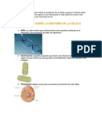 Glosario Sobre La Anatomia de La Celula