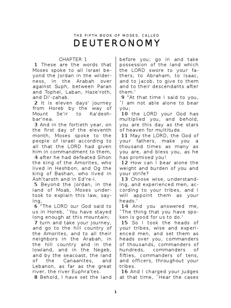 BOOK OF DEUTERONOMY visual data 2