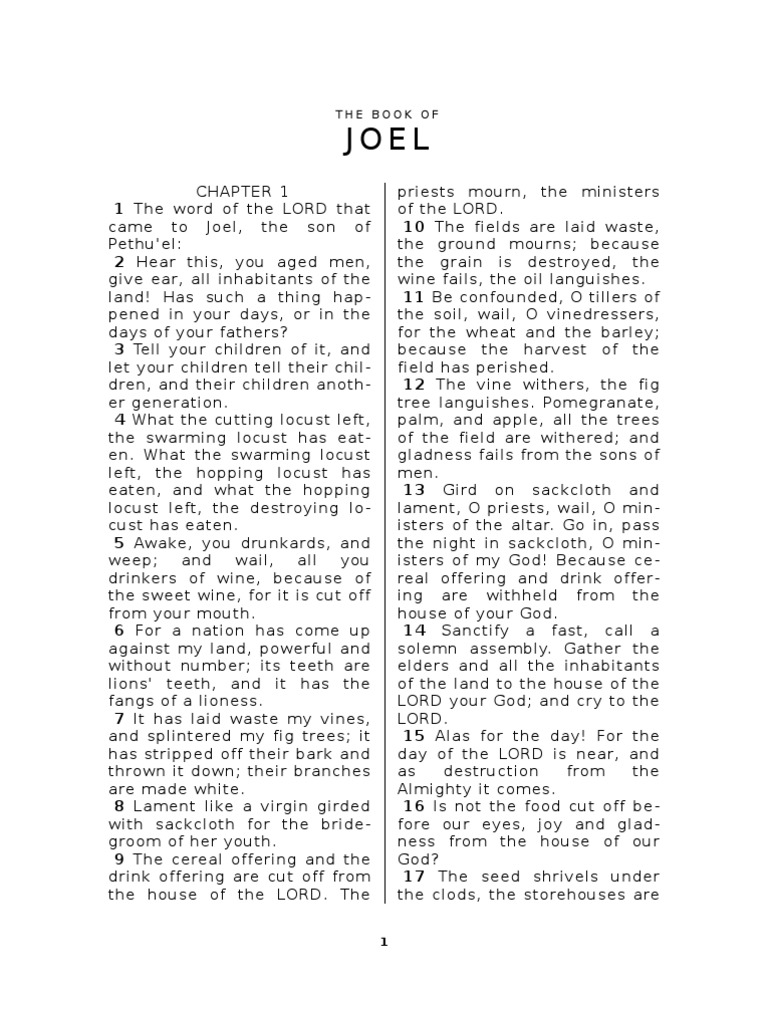 Study of the Book of Joel | PDF