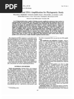 Download 16s Ribosomal by olamicro SN19216569 doc pdf