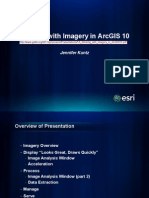1A Working With Imagery in ArcGIS10